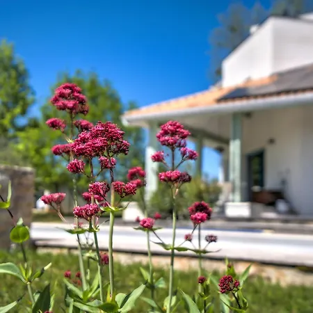 Tatil Evi Maison D'architecte : Espace, Calme & Piscine Périgueux